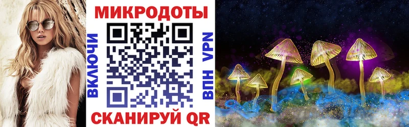 kraken как зайти  Струнино  Галлюциногенные грибы ЛСД 